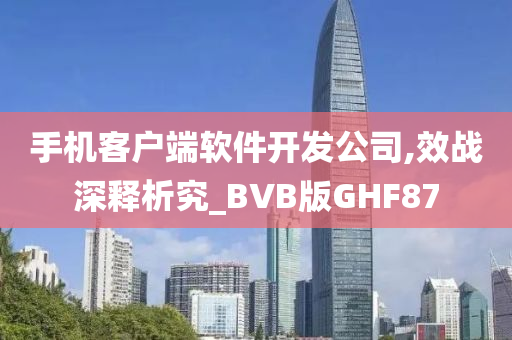 手机客户端软件开发公司,效战深释析究_BVB版GHF87