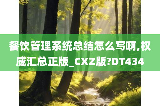 餐饮管理系统总结怎么写啊,权威汇总正版_CXZ版?DT434