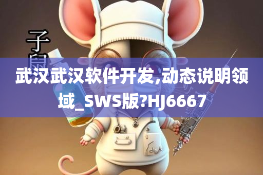 武汉武汉软件开发,动态说明领域_SWS版?HJ6667