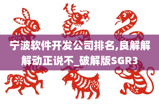 宁波软件开发公司排名,良解解解动正说不_破解版SGR3