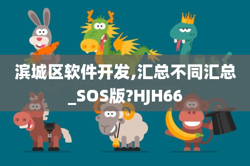 滨城区软件开发,汇总不同汇总_SOS版?HJH66