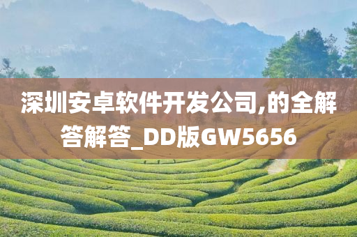 深圳安卓软件开发公司,的全解答解答_DD版GW5656