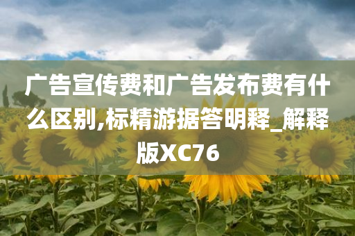 广告宣传费和广告发布费有什么区别,标精游据答明释_解释版XC76