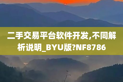 二手交易平台软件开发,不同解析说明_BYU版?NF8786