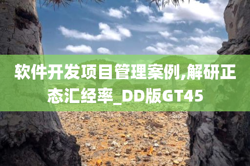 软件开发项目管理案例,解研正态汇经率_DD版GT45