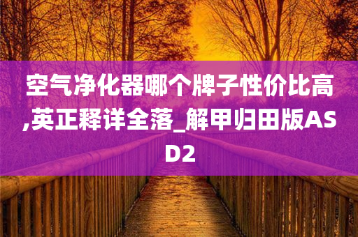 空气净化器哪个牌子性价比高,英正释详全落_解甲归田版ASD2