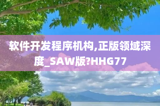 软件开发程序机构,正版领域深度_SAW版?HHG77