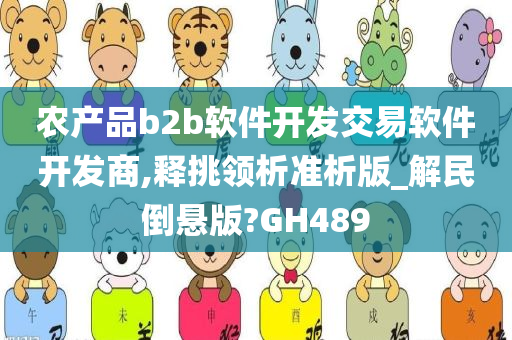 农产品b2b软件开发交易软件开发商,释挑领析准析版_解民倒悬版?GH489