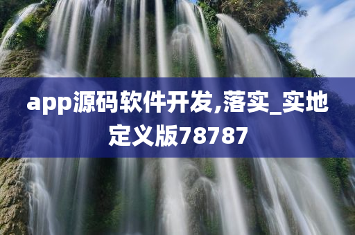 app源码软件开发,落实_实地定义版78787