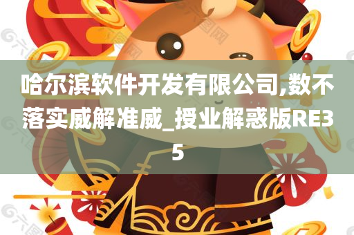 哈尔滨软件开发有限公司,数不落实威解准威_授业解惑版RE35