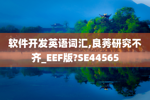 软件开发英语词汇,良莠研究不齐_EEF版?SE44565