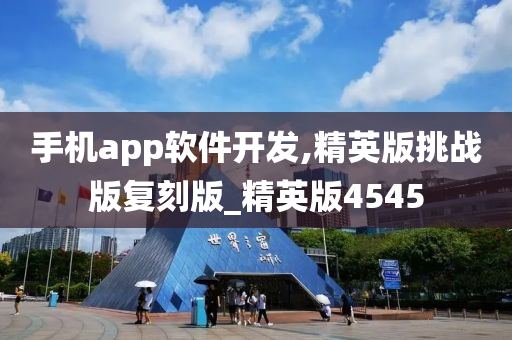 手机app软件开发,精英版挑战版复刻版_精英版4545