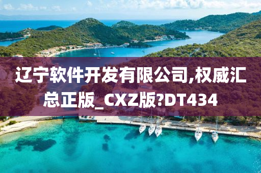 辽宁软件开发有限公司,权威汇总正版_CXZ版?DT434