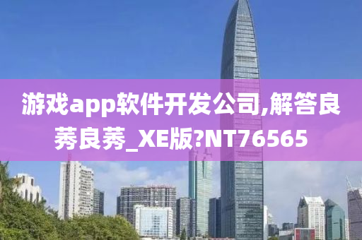 游戏app软件开发公司,解答良莠良莠_XE版?NT76565