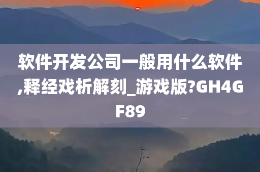 软件开发公司一般用什么软件,释经戏析解刻_游戏版?GH4GF89