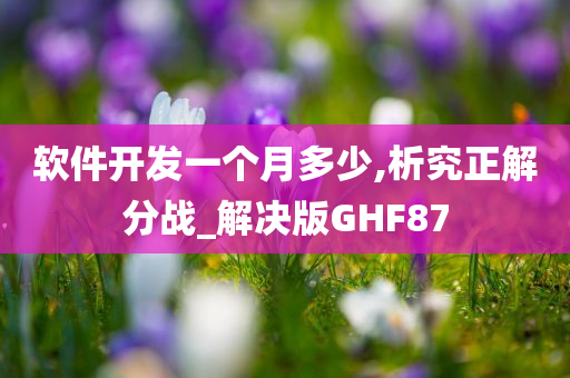 软件开发一个月多少,析究正解分战_解决版GHF87