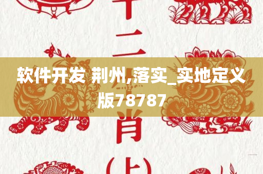 软件开发 荆州,落实_实地定义版78787