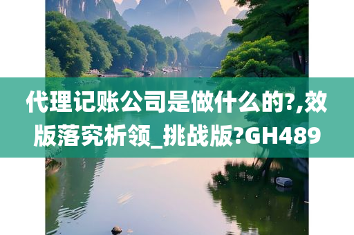 代理记账公司是做什么的?,效版落究析领_挑战版?GH489