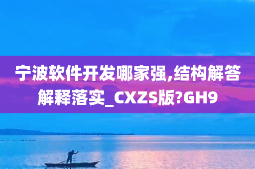 宁波软件开发哪家强,结构解答解释落实_CXZS版?GH9