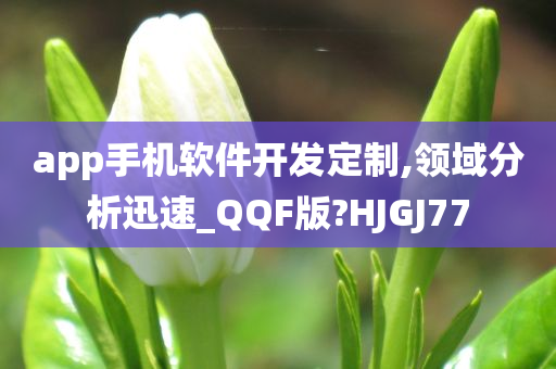 app手机软件开发定制,领域分析迅速_QQF版?HJGJ77