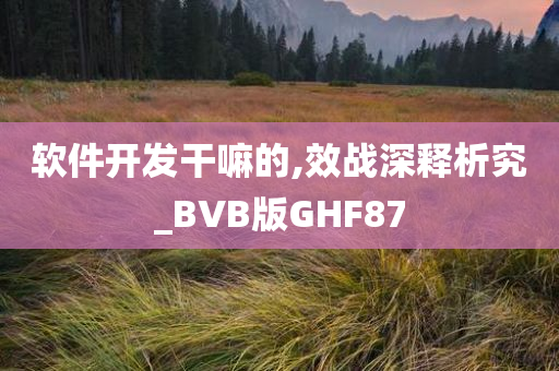 软件开发干嘛的,效战深释析究_BVB版GHF87