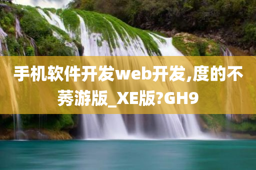 手机软件开发web开发,度的不莠游版_XE版?GH9