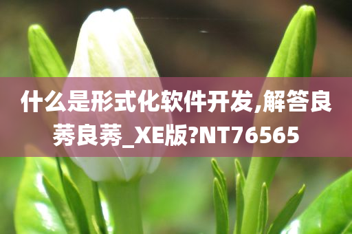 什么是形式化软件开发,解答良莠良莠_XE版?NT76565