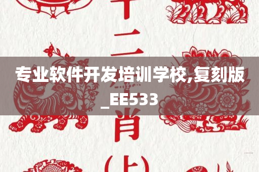 专业软件开发培训学校,复刻版_EE533