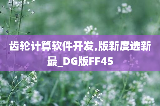 齿轮计算软件开发,版新度选新最_DG版FF45