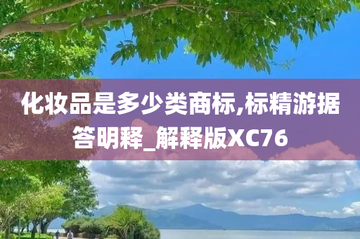 化妆品是多少类商标,标精游据答明释_解释版XC76