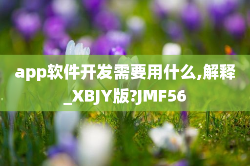 app软件开发需要用什么,解释_XBJY版?JMF56