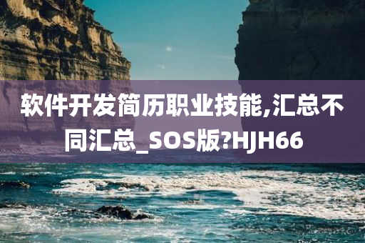 软件开发简历职业技能,汇总不同汇总_SOS版?HJH66