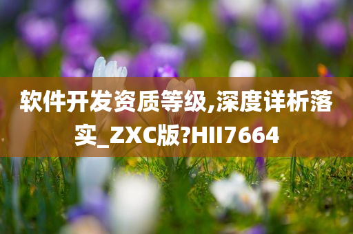 软件开发资质等级,深度详析落实_ZXC版?HII7664