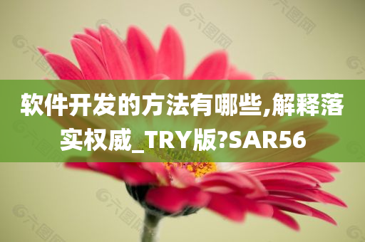 软件开发的方法有哪些,解释落实权威_TRY版?SAR56