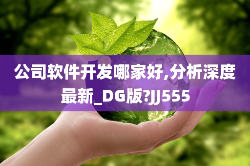 公司软件开发哪家好,分析深度最新_DG版?JJ555