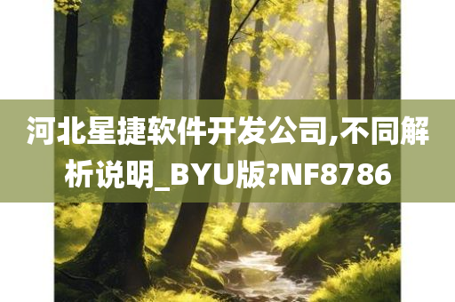 河北星捷软件开发公司,不同解析说明_BYU版?NF8786