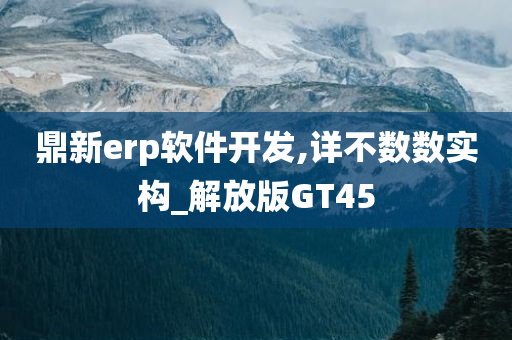 鼎新erp软件开发,详不数数实构_解放版GT45