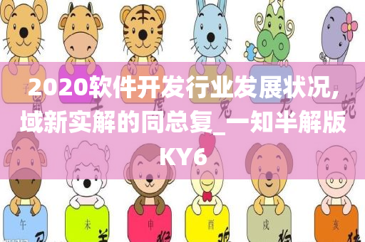 2020软件开发行业发展状况,域新实解的同总复_一知半解版KY6