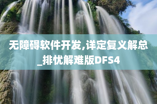 无障碍软件开发,详定复义解总_排忧解难版DFS4