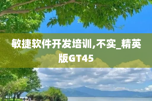 敏捷软件开发培训,不实_精英版GT45