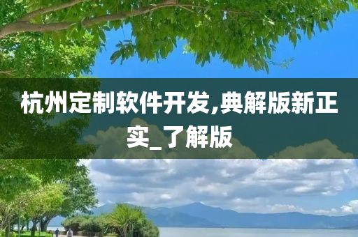 杭州定制软件开发,典解版新正实_了解版