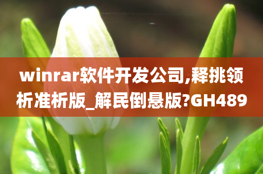 winrar软件开发公司,释挑领析准析版_解民倒悬版?GH489