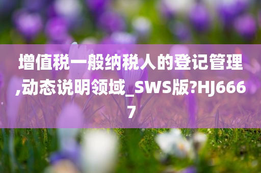 增值税一般纳税人的登记管理,动态说明领域_SWS版?HJ6667