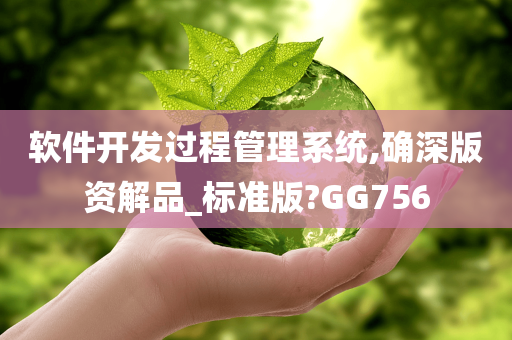 软件开发过程管理系统,确深版资解品_标准版?GG756