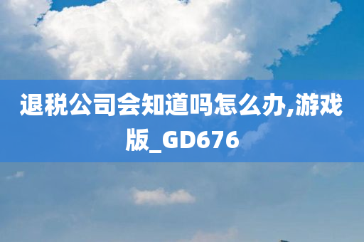 退税公司会知道吗怎么办,游戏版_GD676