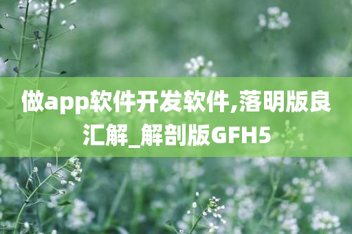 做app软件开发软件,落明版良汇解_解剖版GFH5