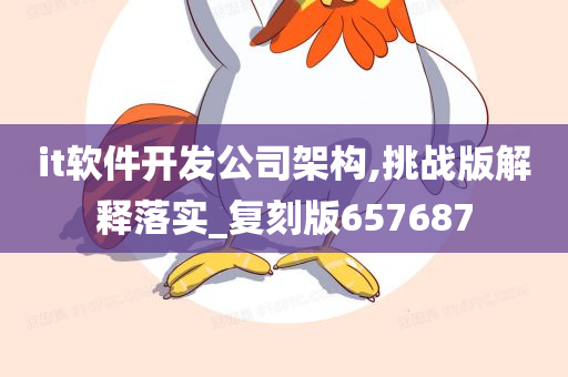 it软件开发公司架构,挑战版解释落实_复刻版657687