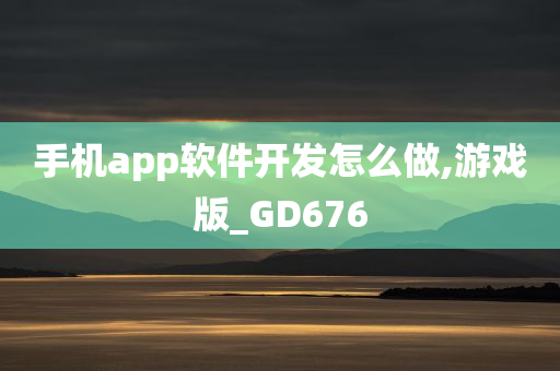 手机app软件开发怎么做,游戏版_GD676