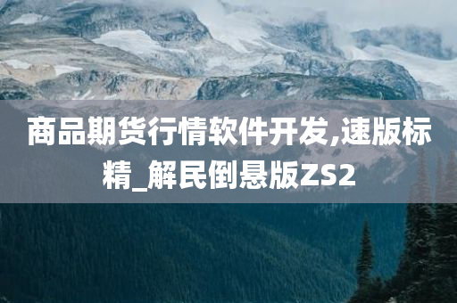 商品期货行情软件开发,速版标精_解民倒悬版ZS2