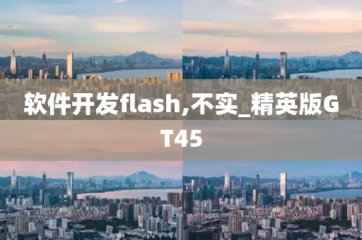 软件开发flash,不实_精英版GT45